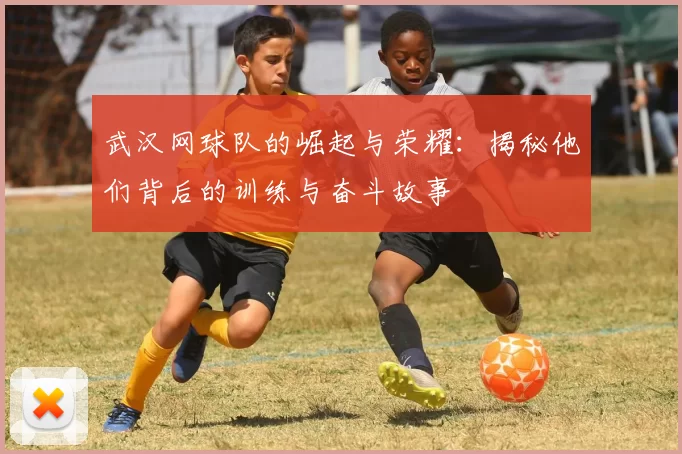 武汉网球队的崛起与荣耀：揭秘他们背后的训练与奋斗故事