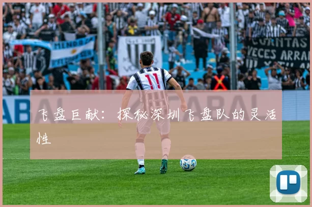 飞盘巨献：探秘深圳飞盘队的灵活性